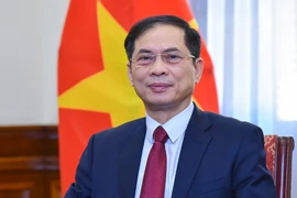 Deputy PM and Minister of Foreign Affairs Bui Thanh Son. (Photo: VNA)