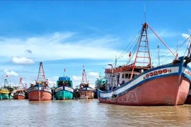 Fishing vessels anchor at Ganh Hao fishing port in Ca Mau province. (Photo: VNA) 