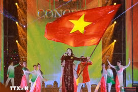 A performance at the concert “Vietnam in My Heart.” (Photo:VNA)