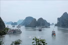 Ha Long Climate 2025 art programme will run from Feb to Jun 2025 (Photo: VNA)