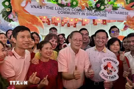 Singapore Minister for Manpower Tan See Leng (center) at the Vietnamese community booth. (Photo: Singapore Minister for Manpower Tan See Leng (white shirt, center) at the Vietnamese community booth. (Photo: VNA)