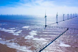 Vietnam harnesses offshore wind to power its green transition (Photo: VNA)