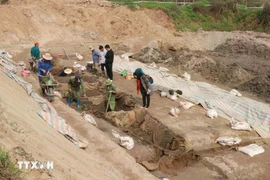 Unique ancient boats unearthed in Bac Ninh