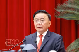 Permanent member of Party Central Committee's Secretariat Tran Cam Tu (Photo: VNA)