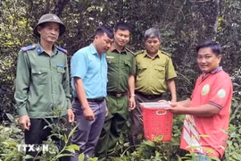 Rescued wildlife returned to the wild in Lam Dong (Photo: VNA)