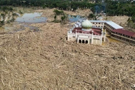 An aerial view shows vast remains of uprooted trees at the Darul Mukhlisin Islamic boarding school and mosque in the aftermath of flash floods at Aceh Tamiang in Northern Sumatra on Dec 10, 2025. (Photo: AFP)