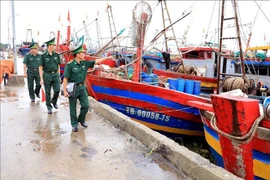 Officers and soldiers of the Diem Dien Border Guard Station patrol and inspect vessels at Tan Son fishing port, Hung Yen province. (Photo: VNA) 