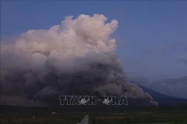 Indonesia's Semeru Volcano erupts seven times on March 17 morning, throwing ash to 1,000 metres. (Photo: VNA) 