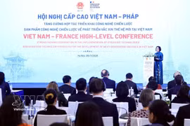 Delegates at the conference. (Photo: VNA)
