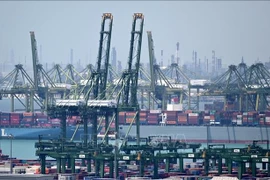 Cargo handling at Pasir Panjang Port in Singapore. (Photo: AFP/VNA) 