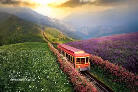 The Muong Hoa mountain-climbing train enhances green tourism experiences for visitors to Sa Pa. (Photo: VNA) 