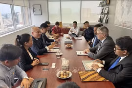 Representatives of Vietrade and TFO Canada discuss a new cooperation project for 2026–2030. (Photo: VNA)