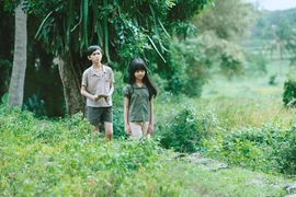 The Vietnamese feature film “Toi thay hoa vang tren co xanh” (Yellow flowers on the green grass) wins heart of international audiences (Photo: VNA)