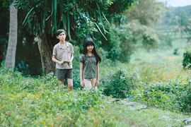 The Vietnamese feature film “Toi thay hoa vang tren co xanh” (Yellow flowers on the green grass) wins heart of international audiences (Photo: VNA)