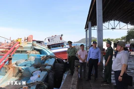 The delegation Inspects anti-IUU fishing efforts at Hung Thai Port, Long Hai commune. (Photo: VNA )