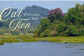 Cat Tien: A refuge for endangered wildlife (Photo: vietnamoriginal-travel.com)