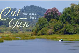 Cat Tien: A refuge for endangered wildlife (Photo: vietnamoriginal-travel.com)