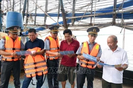 Fisheries resources surveillance officers disseminate anti-IUU fishing regulations to fishermen at the An Hoa fishery port in Da Nang city. (Photo: VNA)