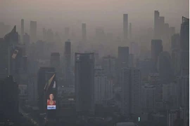 Bangkok closes over 100 schools over air pollution (Photo: phys.org)