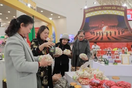 A wide range of attractively designed, locally distinctive products on display at Quang Ngai province’s booth at the Spring Fair 2026 is drawing large numbers of visitors and shoppers. (Photo: VNA)