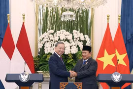 General Secretary To Lam (L) and Indonesian President Prabowo Subianto, Chairman of the Great Indonesia Movement Party (Gerindra), announce the elevation of Vietnam–Indonesia relations to a Comprehensive Strategic Partnership in Jakarta on March 10, 2025. (Photo: VNA) 