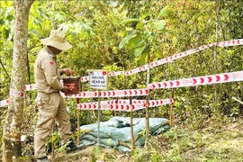 Mine clearance completed at the historic Quang Tri Citadel (Photo: VNA)