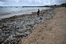 A man stands on plastic waste and other garbage washed ashore that has accumulated thickly at a beach in Kedonganan Badung regency, in Bali on January 3, 2025. (Photo: AFP) 