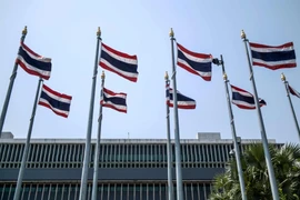 Thailand national flags on the side of the Thai Parliament complex in Bangkok. (Photo: AFP) 