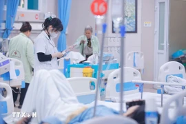 National health target programme prioritises the most vulnerable groups (Photo: VietnamPlus)