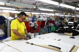 Sample designs for export production underway at DONY Garment Co in HCM City. (Photo: VNA) 