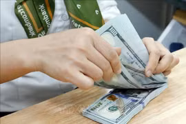The daily reference exchange rate is set at 25,137 VND/USD on May 27. (Photo: VNA)