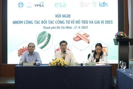 Delegates at the 2025 Annual Public-Private Partnership Group Conference held in HCM City on April 17. (Photo: VNA) 