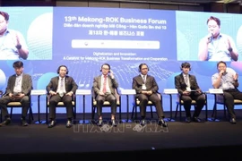 Delegates at the 13th Mekong–RoK Business Forum (Photo: VNA)
