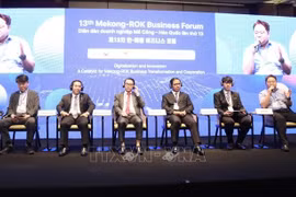 Delegates at the 13th Mekong–RoK Business Forum (Photo: VNA)