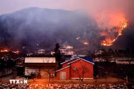 A fierce forest fire in Andong in North Kyungsang province of the RoK on March 25, 2025. (Photo: VNA)