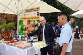 A visitor at the event (Photo: VNA)
