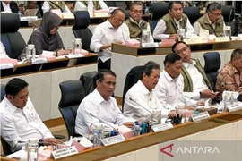 Indonesian Agriculture Minister Andi Amran Sulaiman (second from left) attends a working meeting with House of Representatives (DPR) Commission IV in Jakarta on February 3, 2026. (Photo: ANTARA)