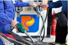 Illustrative Image (Photo: VNA)