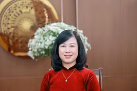 Member of the Party Central Committee and Minister of Health Dao Hong Lan (Photo: VNA)