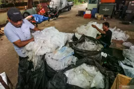  Workers sort plastic waste to be recycled at Waste Treatment Site (TPS) 04 Bambu Apus in Jakarta, January 7, 2025. (Photo: ANTARA) 