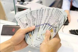 The State Bank of Vietnam sets the daily reference exchange rate at 24,577 VND/USD on February 17. (Photo: VNA)