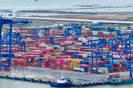 The FTA Index 2024 provides a panorama of the FTA implementation outcomes across the country. (Photo: VNA)