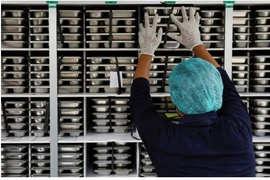 A staff member loads meal boxes onto a truck for free distribution to children and pregnant women, at a kitchen in Jakarta, Indonesia, January 6, 2025. (Photo: reuters.com)