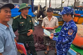 Officers of Coast Guard Region 2 disseminate legal regulations on fisheries to fishermen. (Photo: VNA)