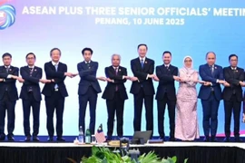 Delegates at the ASEAN Plus Three Senior Officials' Meeting (Photo: asean.org)
