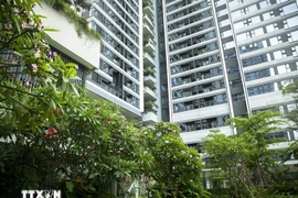 Vietnam moves up in the global LEED green building rankings. (Photo: VNA)