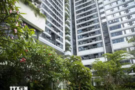 Vietnam moves up in the global LEED green building rankings. (Photo: VNA)
