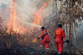 Firefighters work to extinguish a wildfire on peatland in Rimba Panjang, Indonesia's Riau province, on July 20, 2025. (Photo: AFP/VNA) 