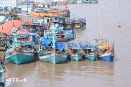 Vietnam tightens monitoring of fishing vessels to tackle IUU violations (Photo: VNA)