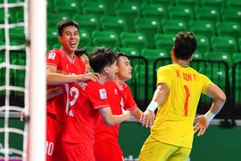 Illustrative Image (Photo: VFF)